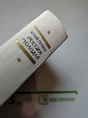 Россия молодая. Книга вторая