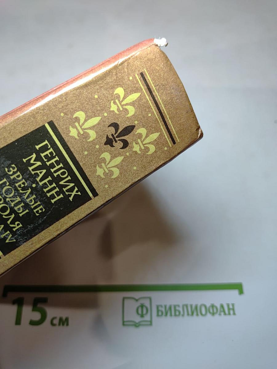 Зрелые годы короля Генриха IV