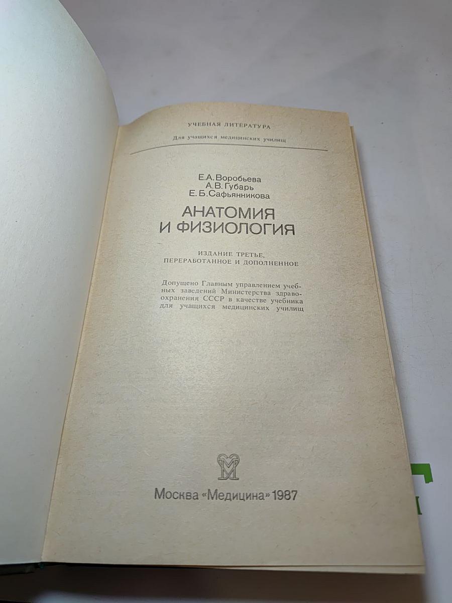 Анатомия и физиология