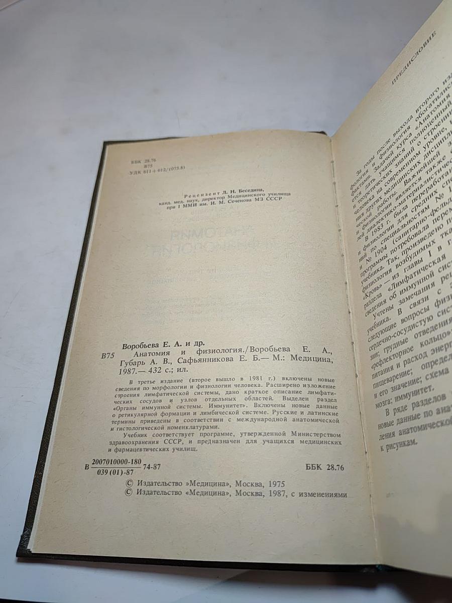 Анатомия и физиология