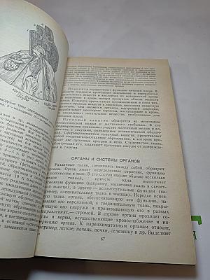 Анатомия и физиология
