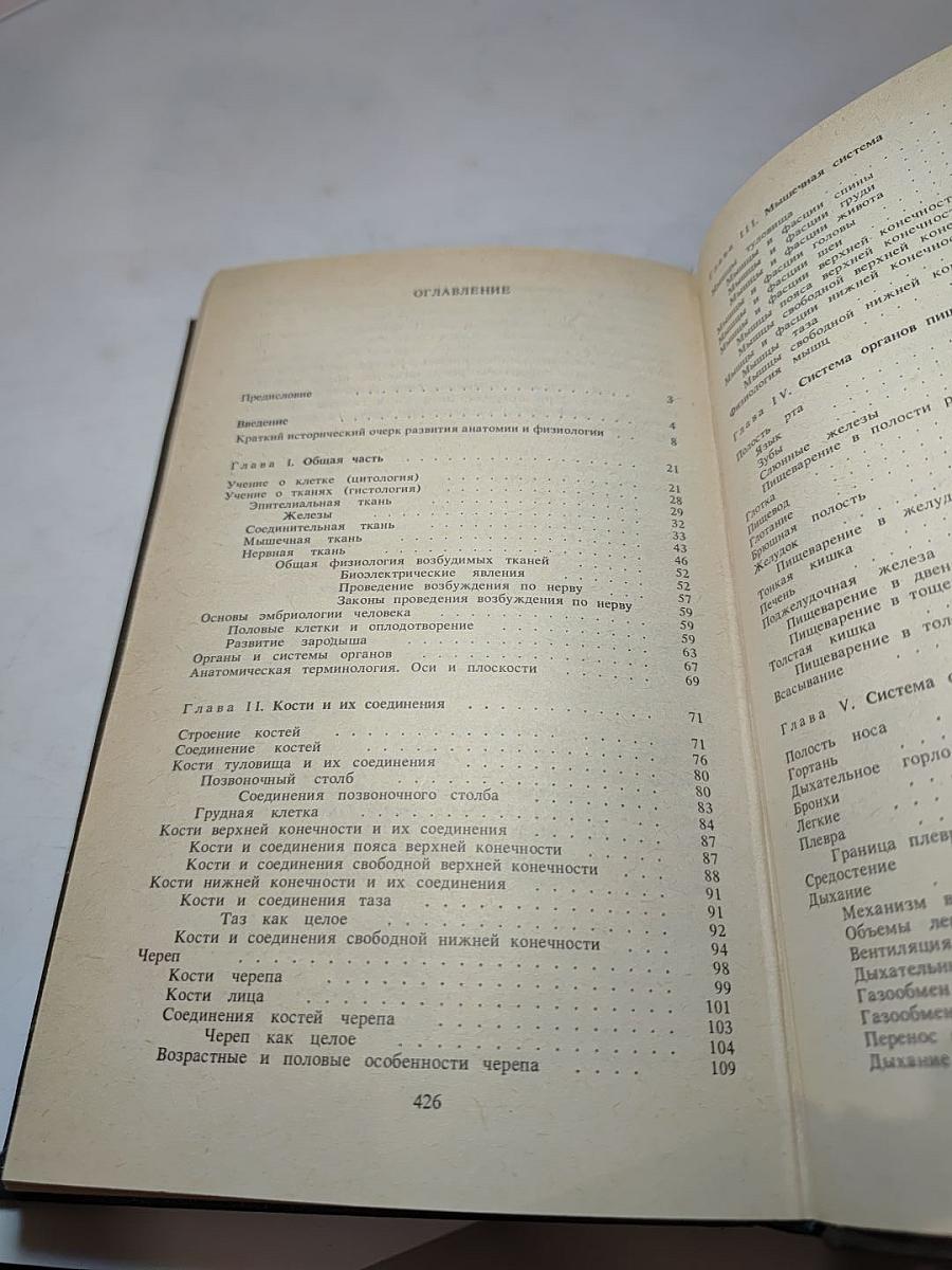 Анатомия и физиология