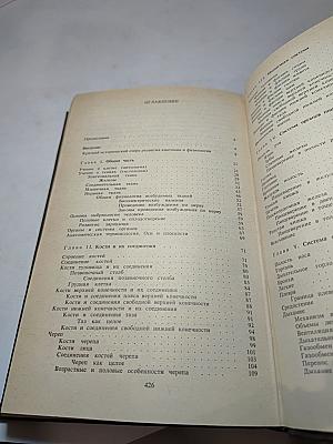 Анатомия и физиология
