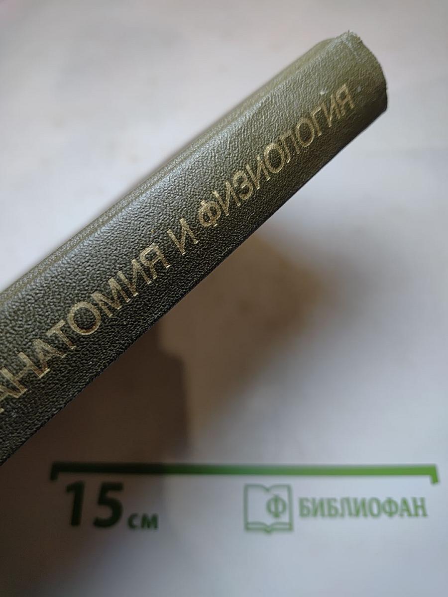 Анатомия и физиология