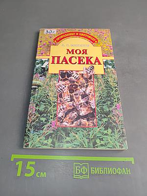 Моя пасека