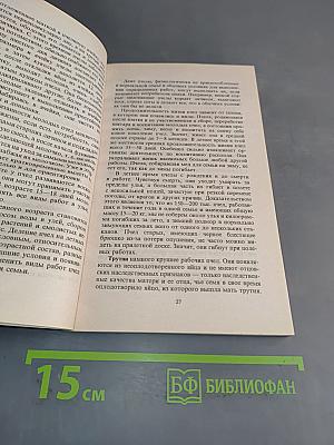 Моя пасека