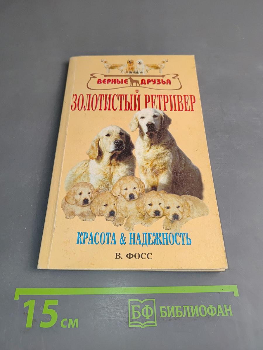 Золотистый ретривер