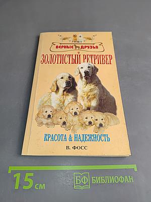 Золотистый ретривер