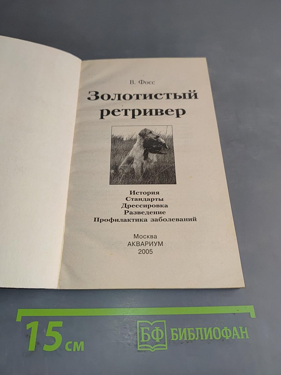 Золотистый ретривер