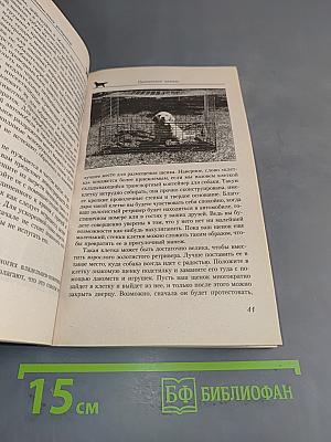 Золотистый ретривер