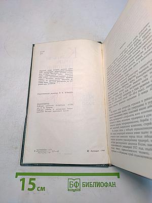 Краткий очерк истории русской советской литературы