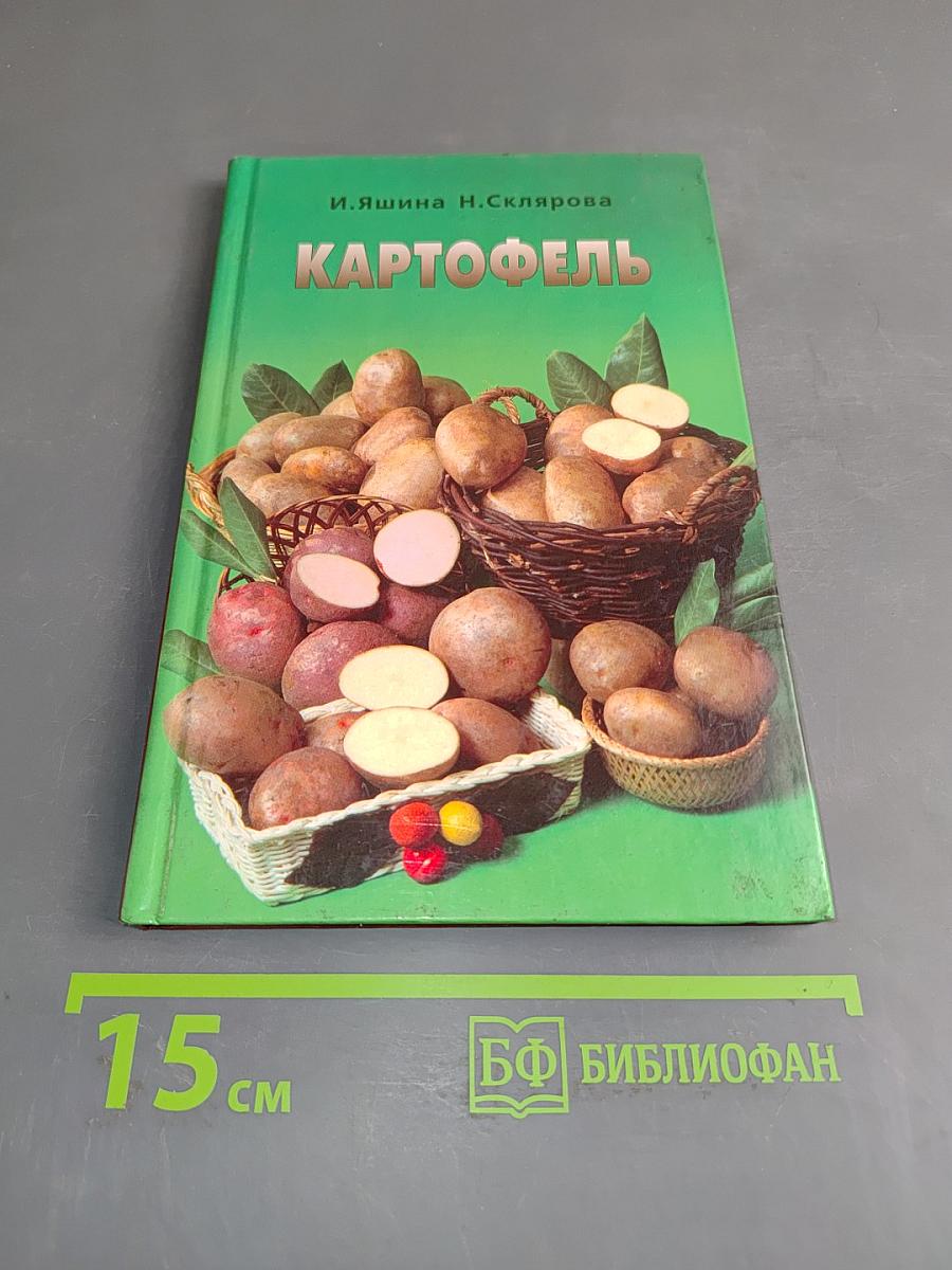 Картофель