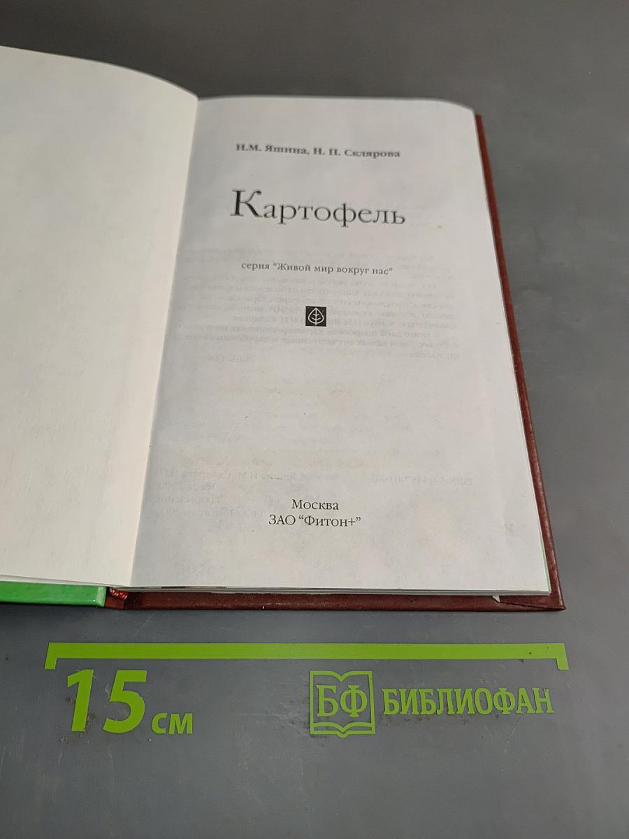 Картофель