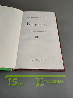 Картофель