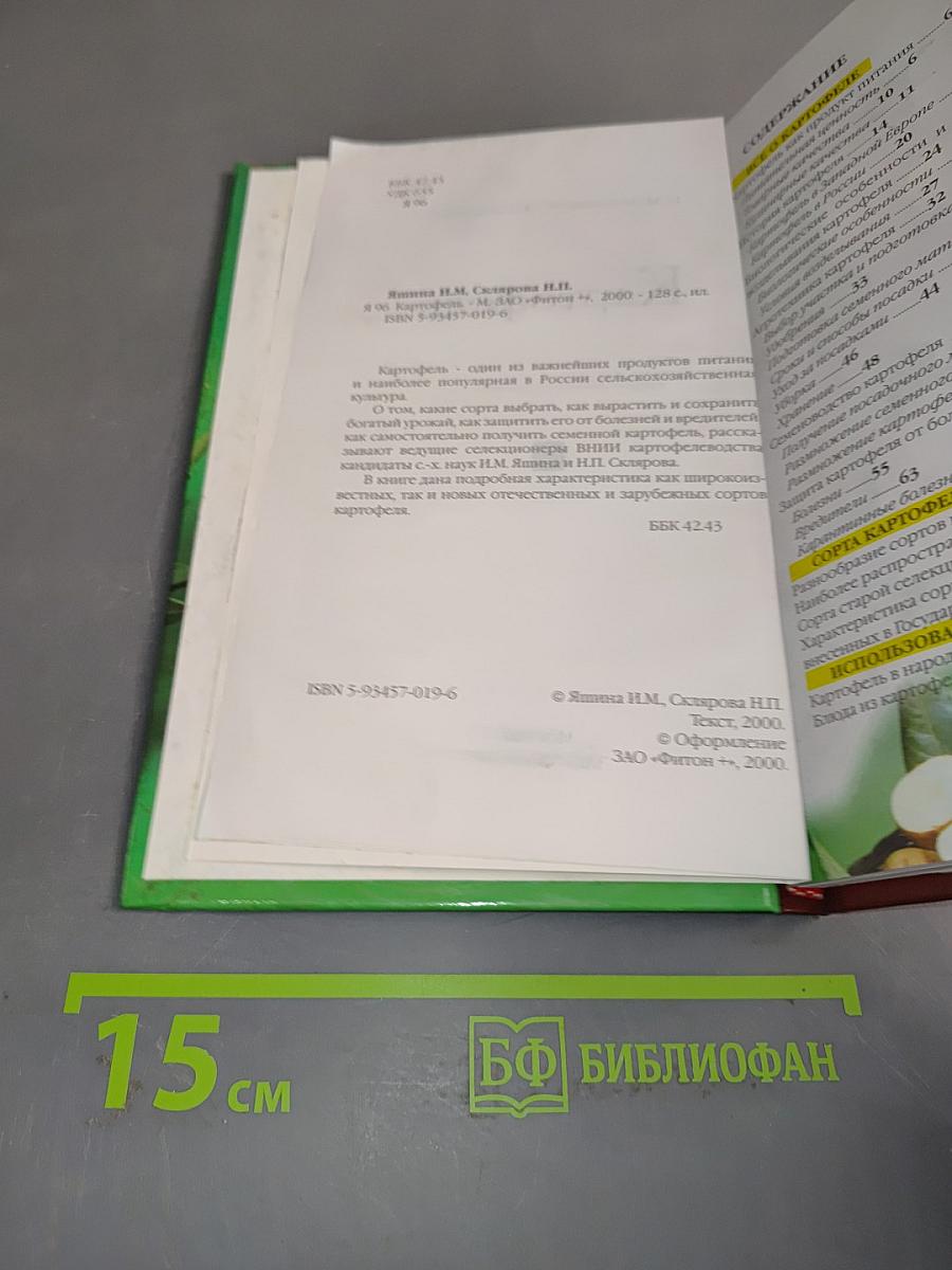 Картофель