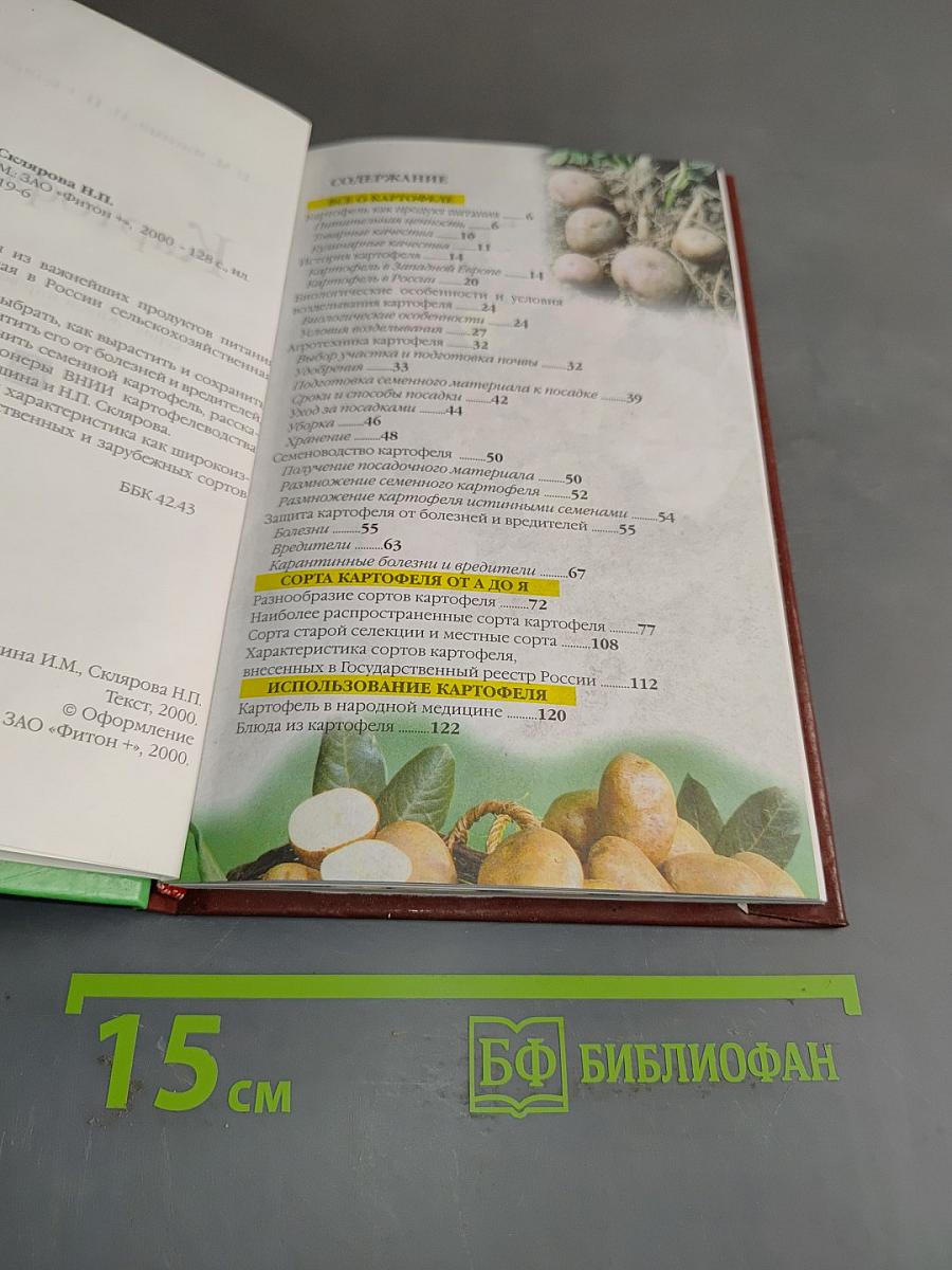 Картофель