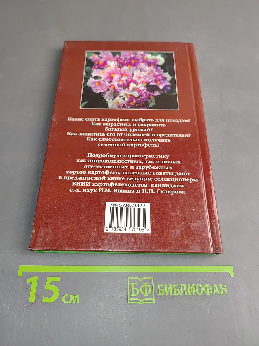 Картофель