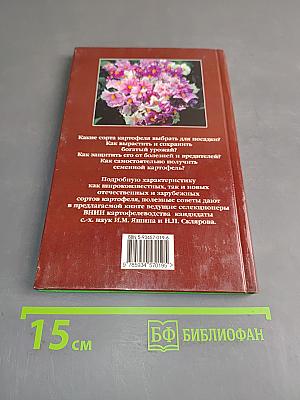 Картофель