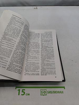 Французско-русский словарь