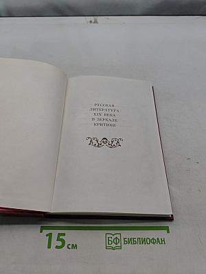 Русская литература XIX века в зеркале критики