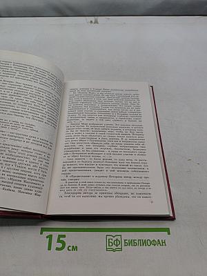 Русская литература XIX века в зеркале критики