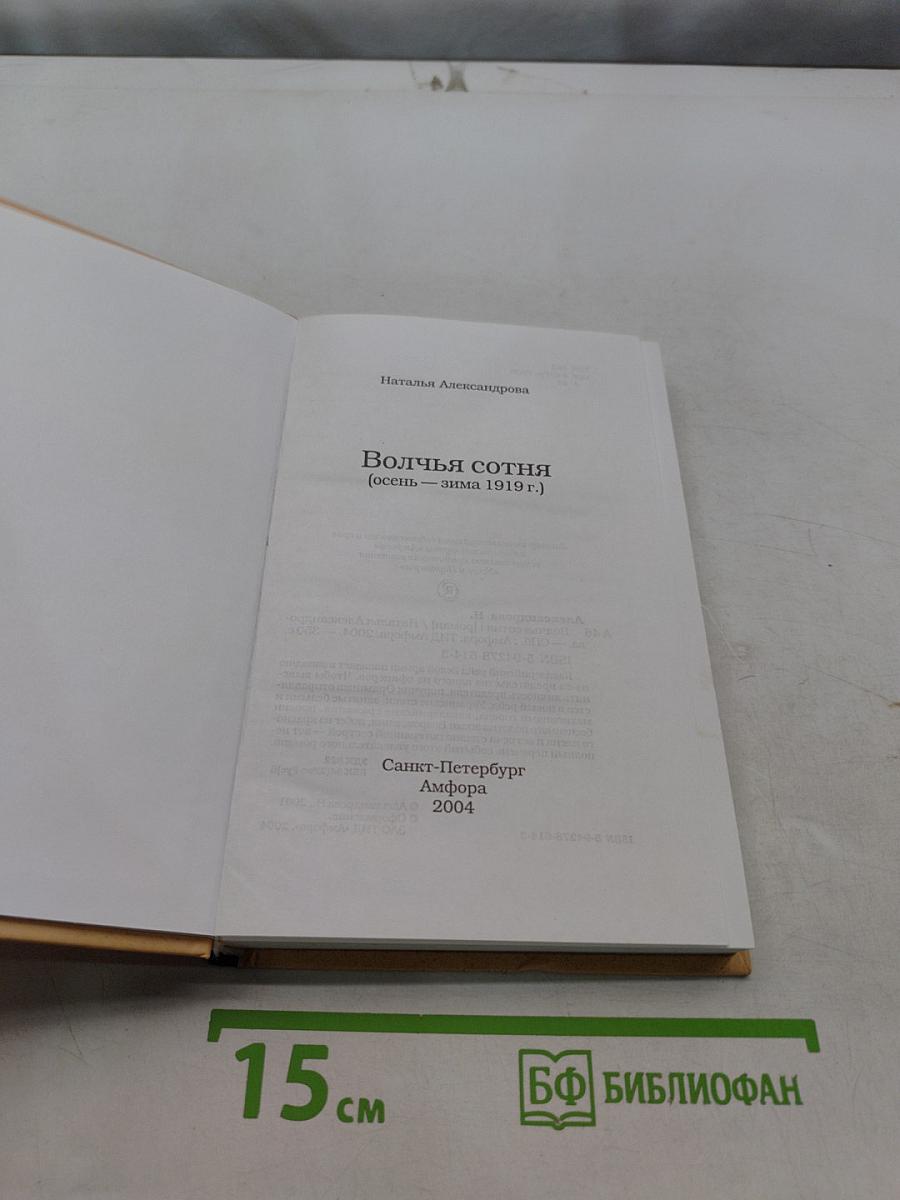 Дело поручика Ордынцева. Волчья сотня (осень — зима 1919 г.)