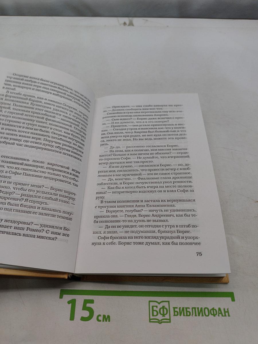 Дело поручика Ордынцева. Волчья сотня (осень — зима 1919 г.)