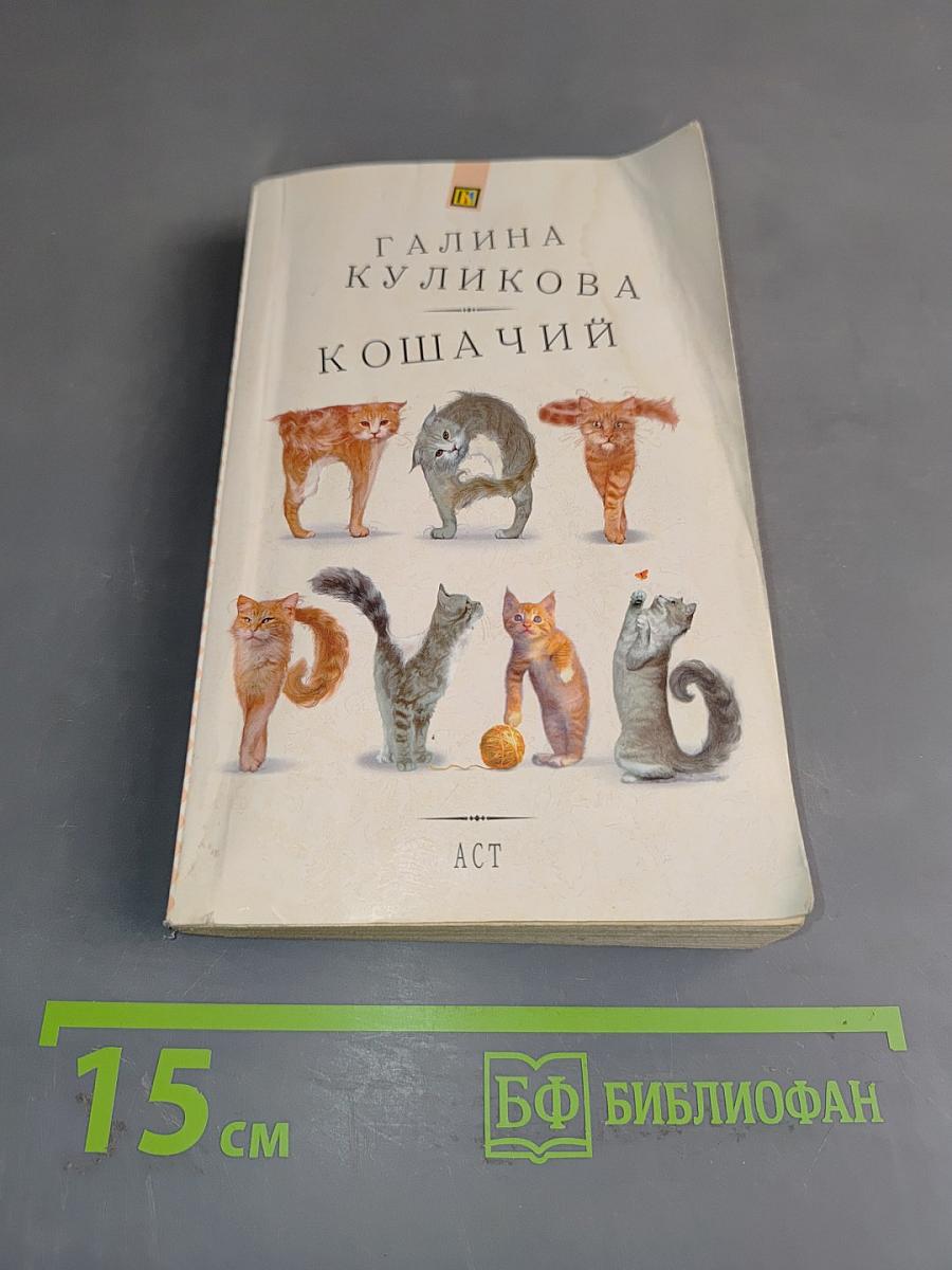 Кошачий патруль