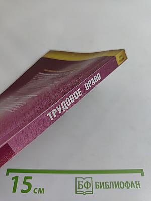 Трудовое право. Курс лекций