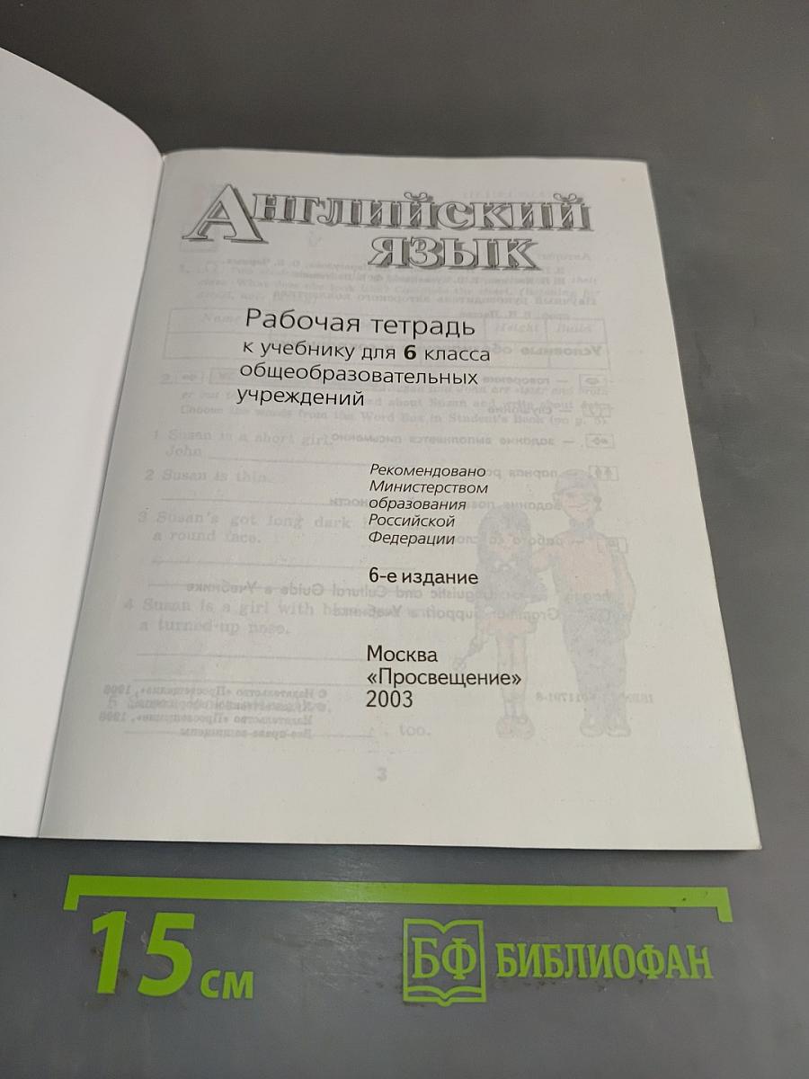 English 6. Activity Book. Рабочая тетрадь к учебнику английского языка