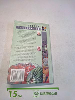 Тыквы, кабачки, патиссоны