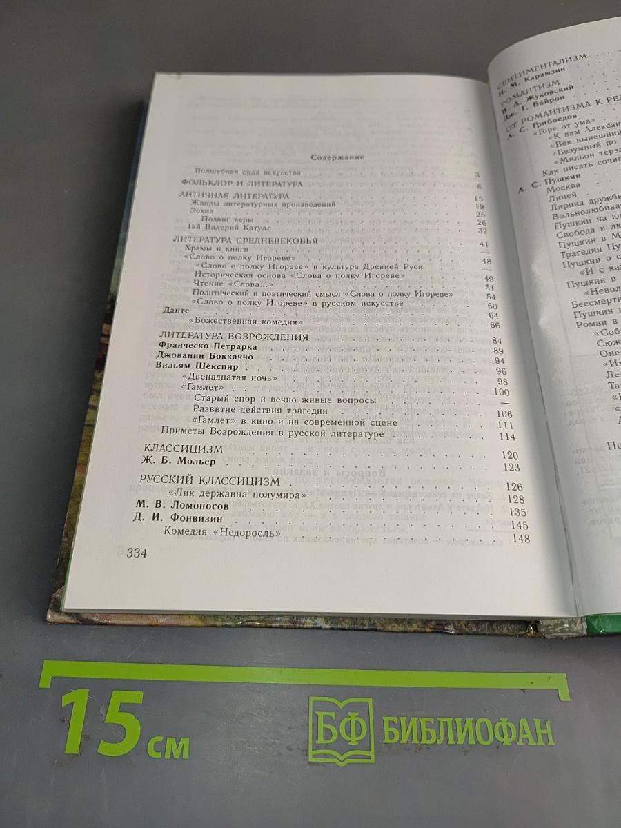 Литература 10 класс. Учебное пособие для общеобразовательных учреждений. Часть 1