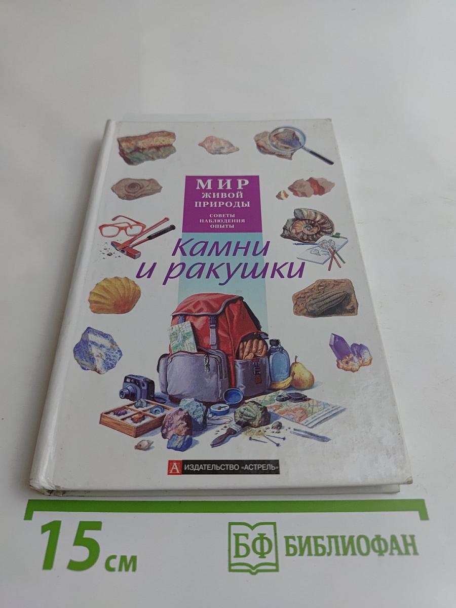 Камни и ракушки