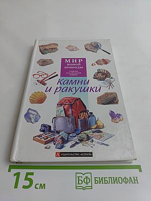 Камни и ракушки