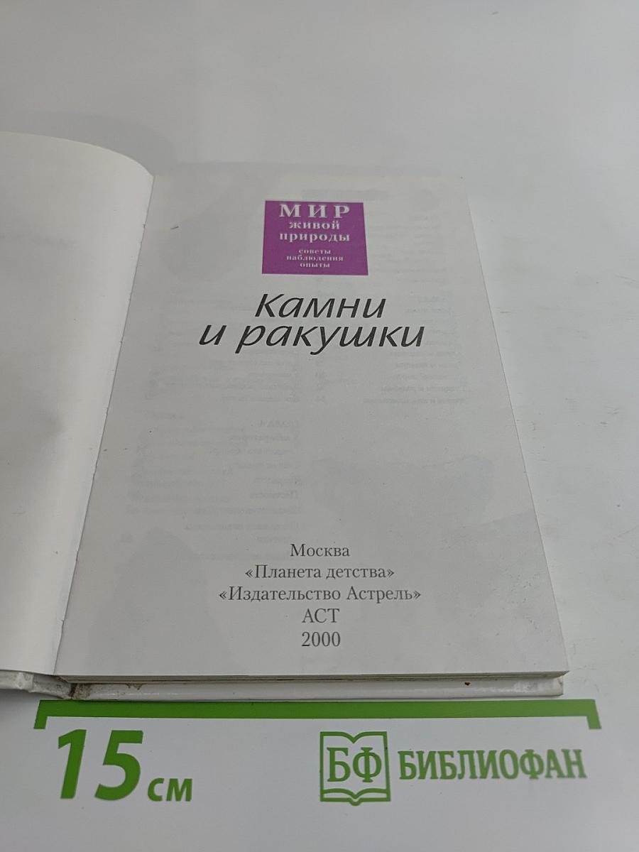 Камни и ракушки