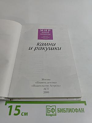 Камни и ракушки