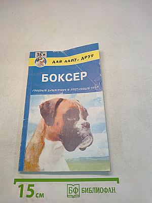 Боксер