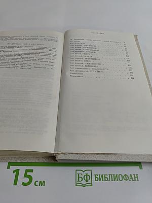 Железная мистерия