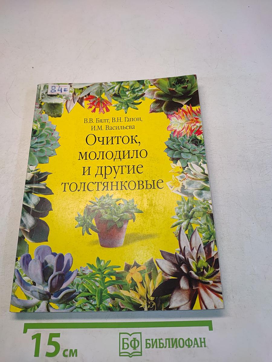 Очиток, молодило и другие толстянковые