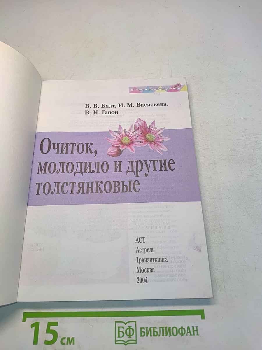 Очиток, молодило и другие толстянковые