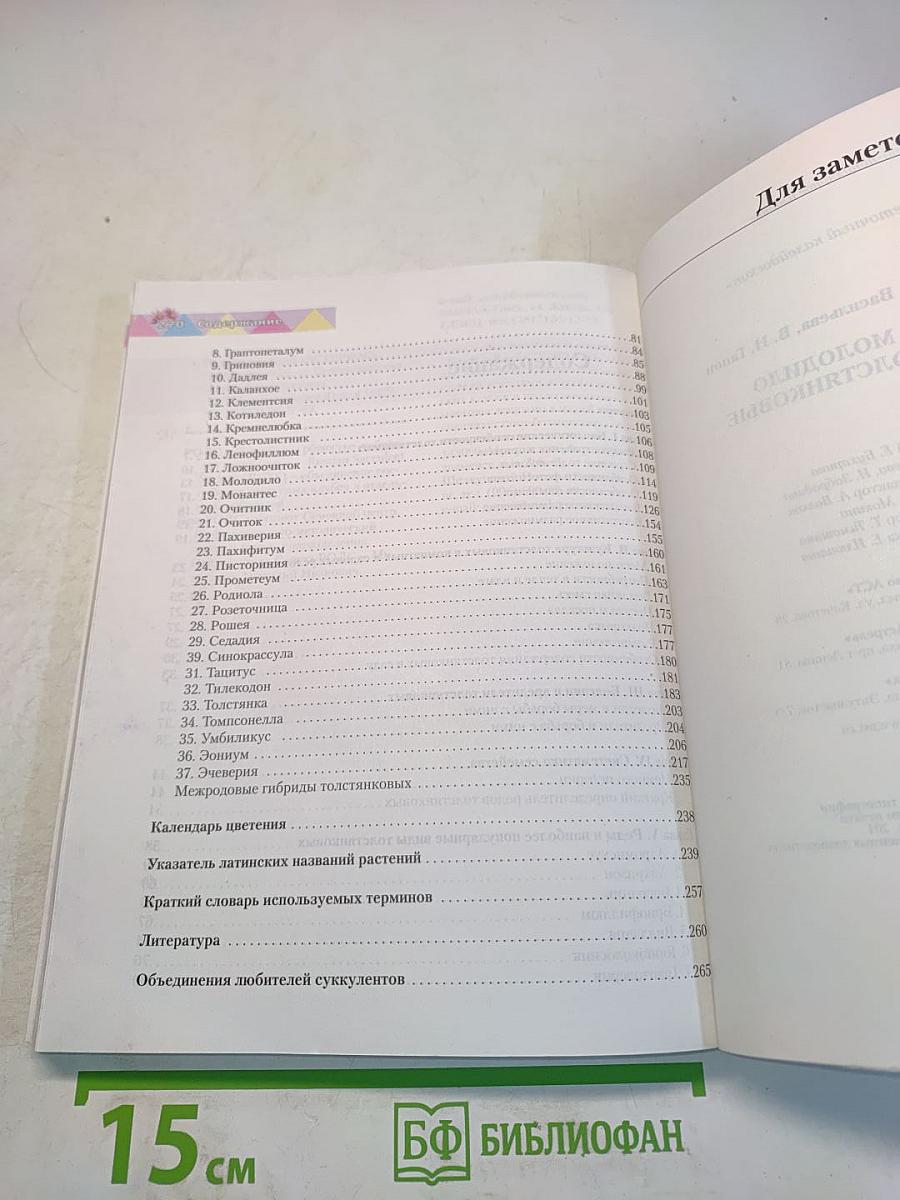 Очиток, молодило и другие толстянковые
