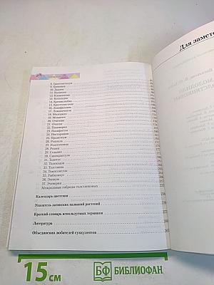 Очиток, молодило и другие толстянковые