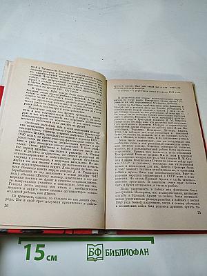 Комсомол в солдатской шинели