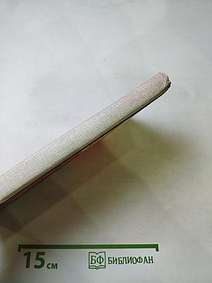 Комсомол в солдатской шинели