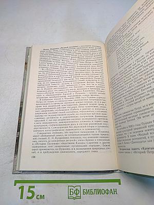 Русская литература XIX века. 10 класс. Часть 1