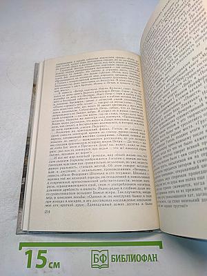 Русская литература XIX века. 10 класс. Часть 1