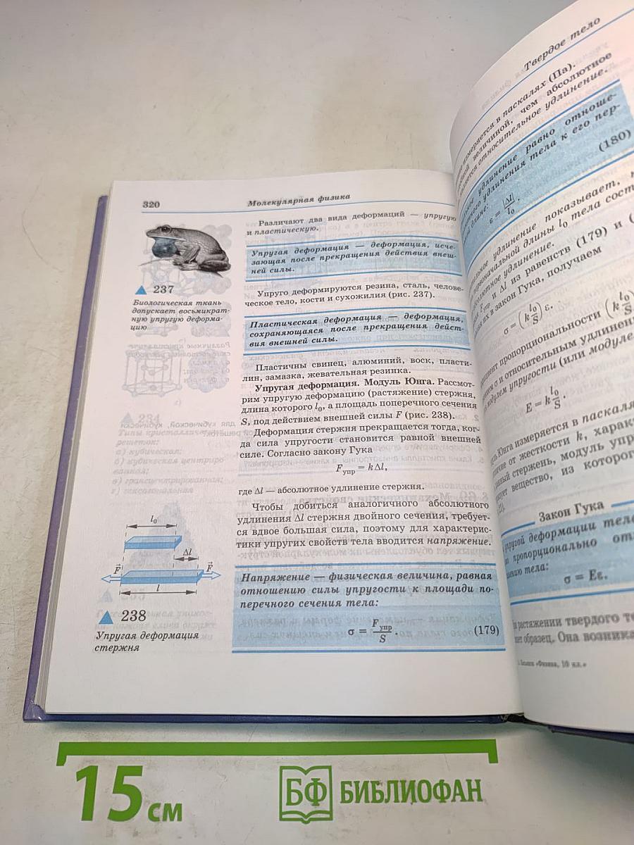 Физика 10 класс