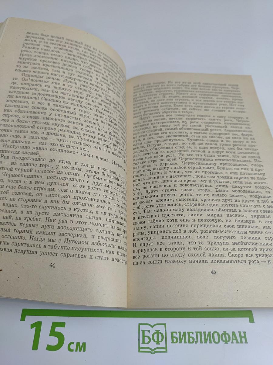 Золотой луч