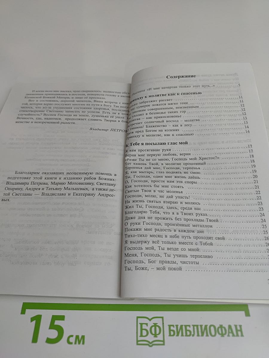 Подари мне, Господи, слова