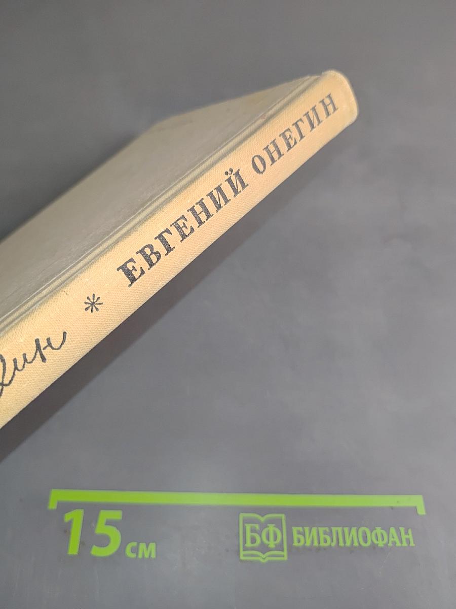 Евгений Онегин